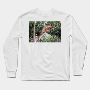 Panther chameleon, Madagascar Long Sleeve T-Shirt
